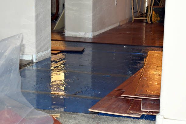 Professional Water Damage technician working in Yoder, CO