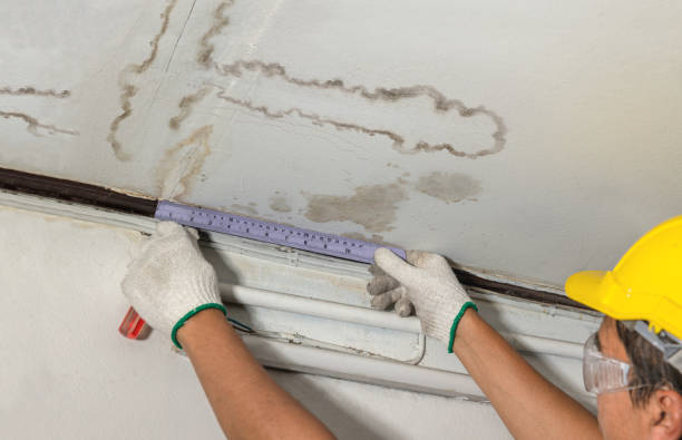 Reliable Water Damage contractor in Yoder, CO by Water Damage Irwin
